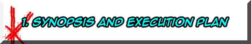 Synopsis & Execution Plan