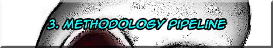 Specialised Niche Directions